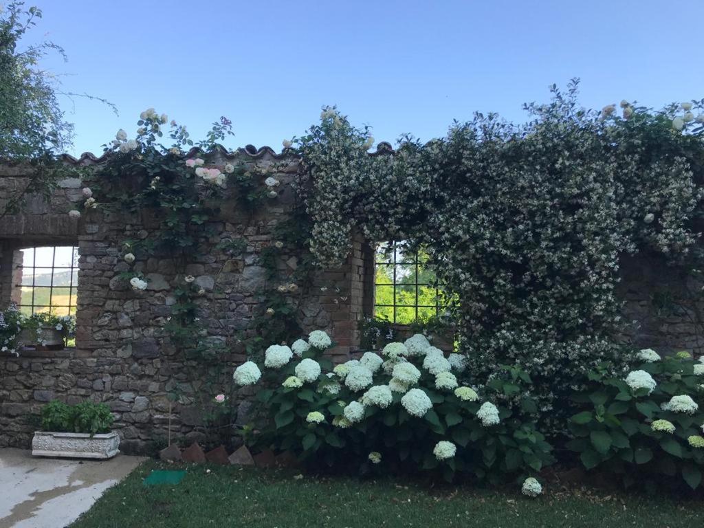 Il Borgo Di Olive Hotel Sismano Екстериор снимка