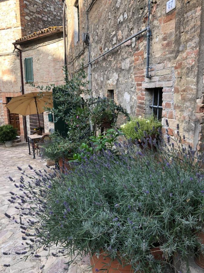 Il Borgo Di Olive Hotel Sismano Екстериор снимка